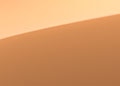 Pantone Zircon Metallic