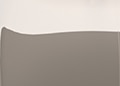 Pantone Coastal Dune